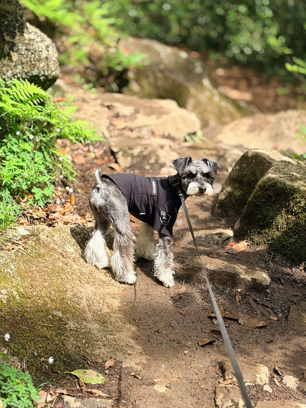 2026/4/26 横浜の探偵日記 〜2,757日目〜