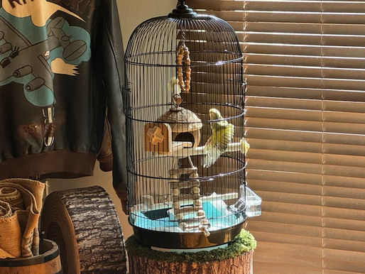 2023/10/12 横浜の探偵日記