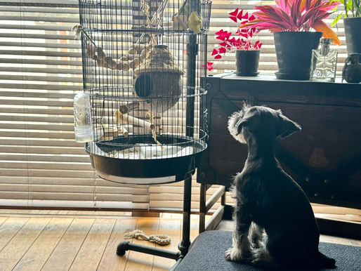 2024/7/8 横浜の探偵日記 〜2,149日目〜