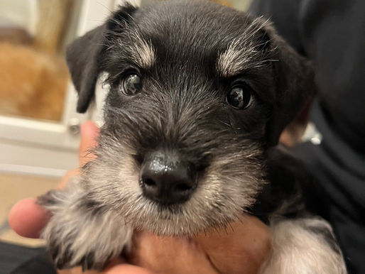 2024/6/30 横浜の探偵日記 〜2,141日目〜