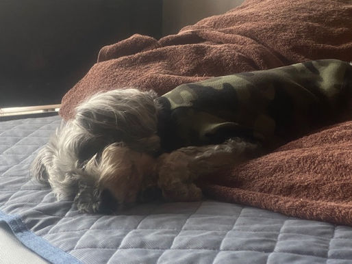 2023/5/29 横浜の探偵日記