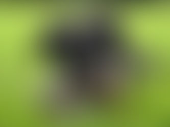 2024/10/19 横浜の探偵日記 〜2,243日目〜