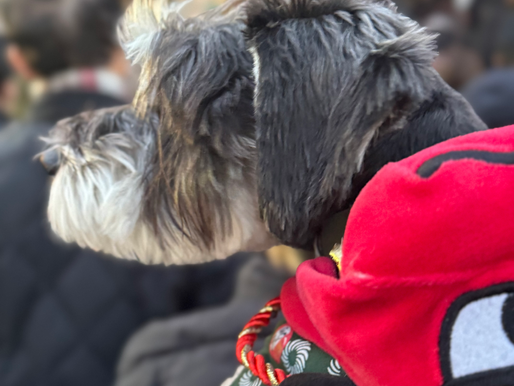 2026/1/2 横浜の探偵日記 〜2,655日目〜