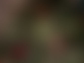 2023/12/24 横浜の探偵日記 ~1,985日目~