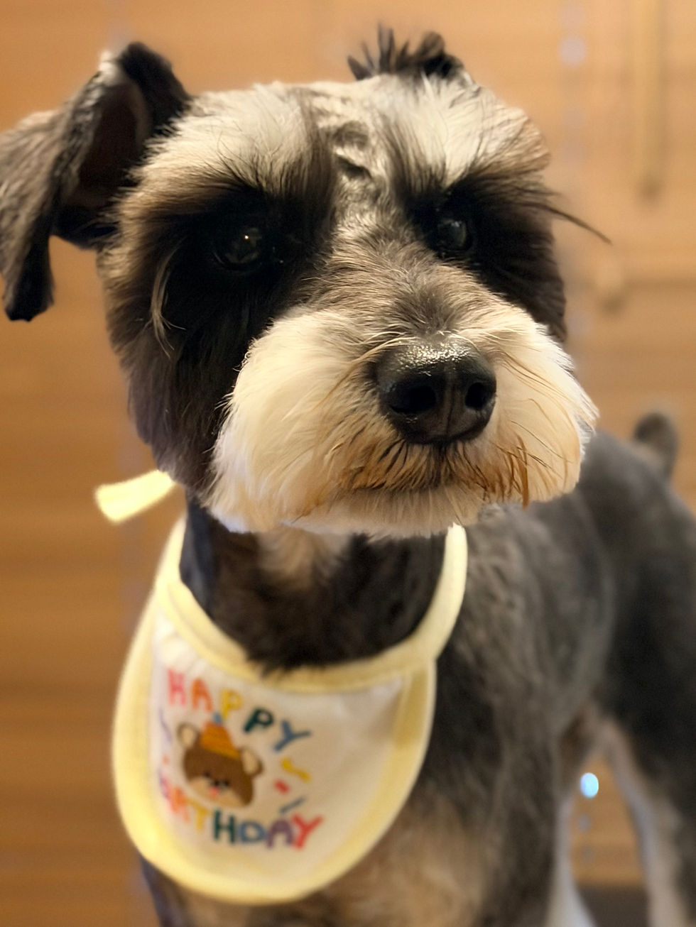 2026/4/23 横浜の探偵日記 〜2,754日目〜