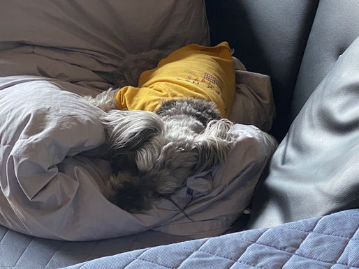 2023/5/15 横浜の探偵日記