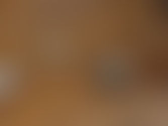 2024/10/29 横浜の探偵日記 〜2,253日目〜