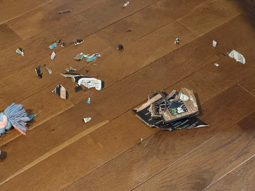 2024/10/29 横浜の探偵日記 〜2,253日目〜