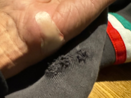 2024/11/4 横浜の探偵日記 〜2,259日目〜