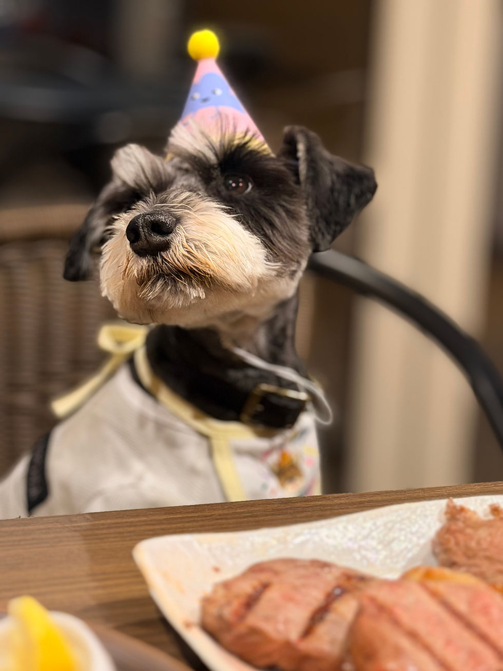 2026/4/25 横浜の探偵日記 〜2,756日目〜