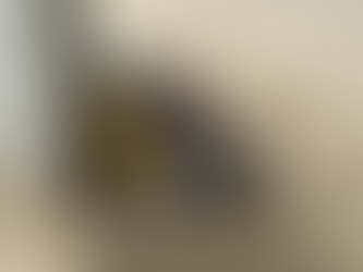 2025/3/27 横浜の探偵日記 〜2,402日目〜