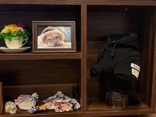 2024/6/28 横浜の探偵日記 〜2,139日目〜