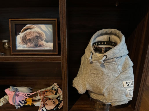 2023/10/29 横浜の探偵日記