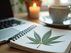 Navigating Cannabis Policies in 2025: HR Best Practices for Remote Work Environments