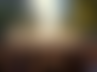 Celebrating 50 Years of Cannabis Culture: The Evolution of Vancouver 420