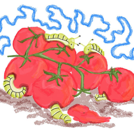 Rotten Tomatoes