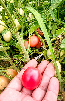 photo_2025-12-05 09.30.07.jpg