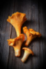Chanterelle Mushrooms_edited.jpg