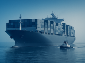 The Transformation Paradox: Why 96% of Companies Are Pursuing a Strategy with an 88% Failure Rate