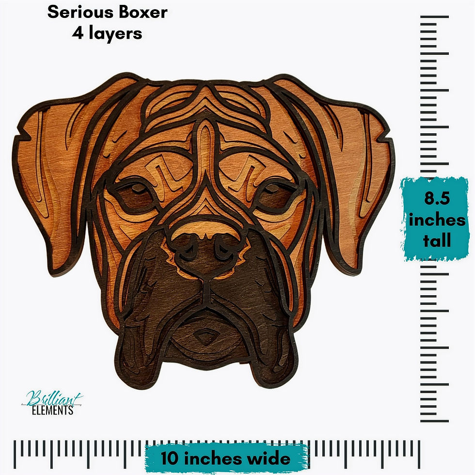 Thumbnail: Serious Boxer