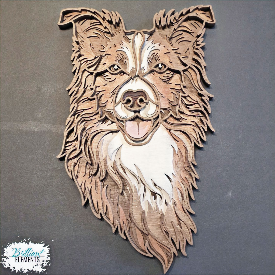 Border Collie