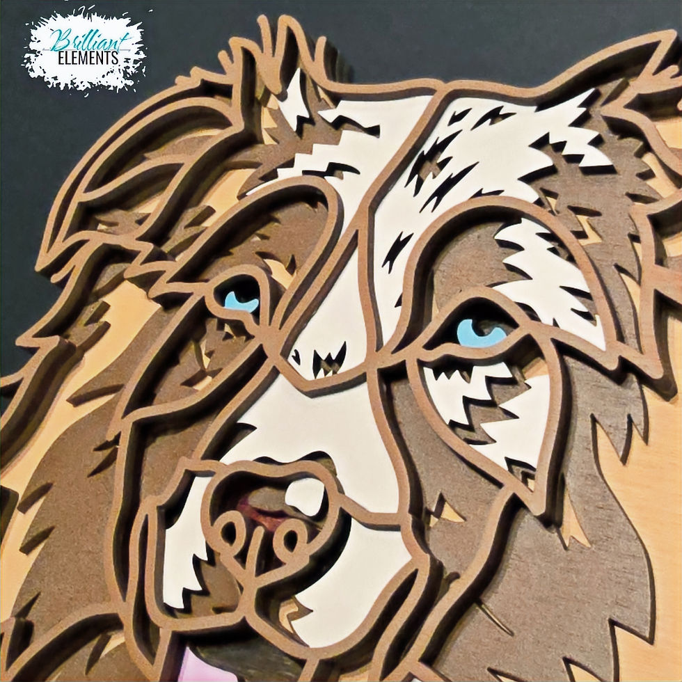 Thumbnail: Australian Shepherd