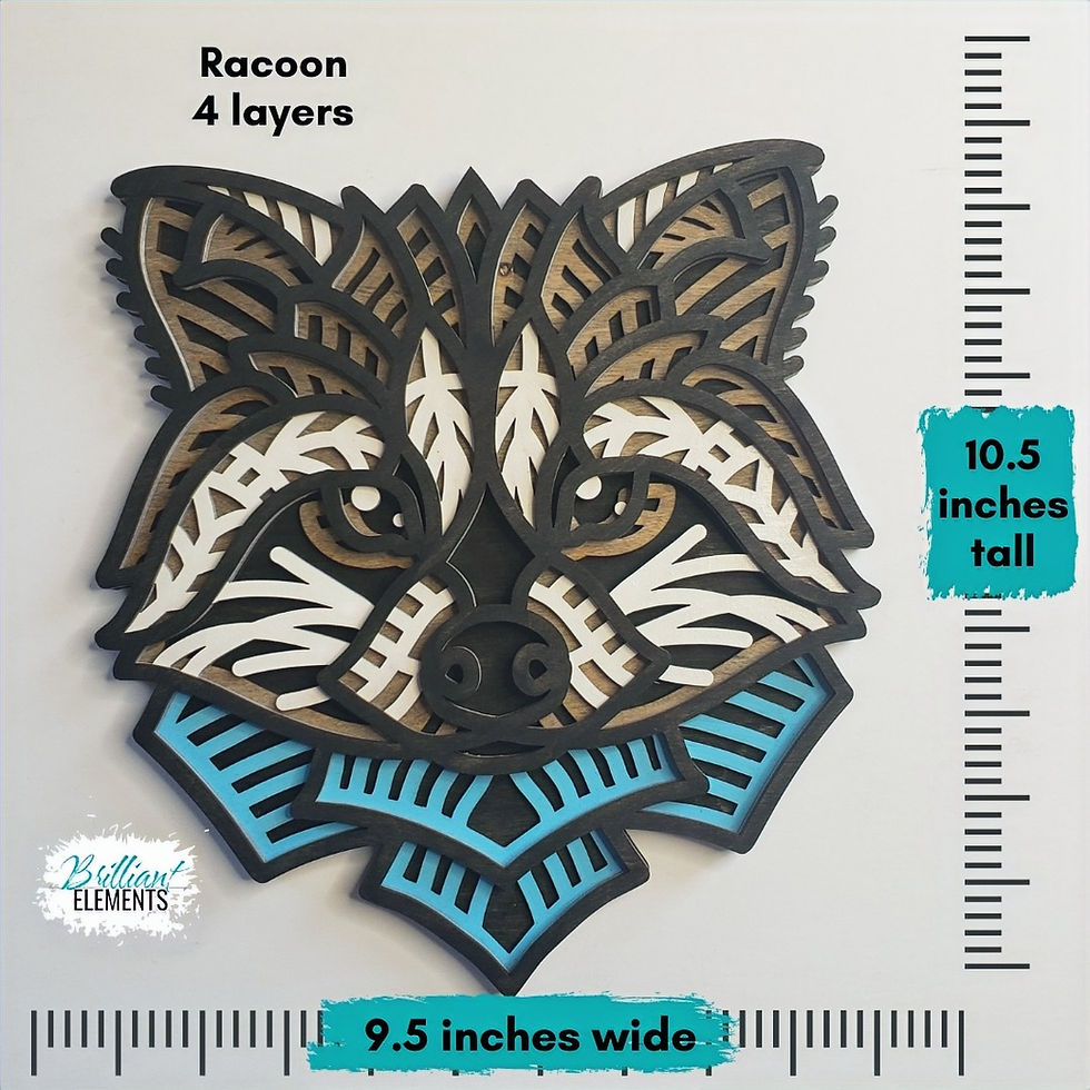 Thumbnail: Raccoon