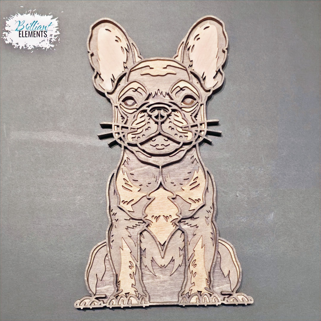 Patient French Bulldog