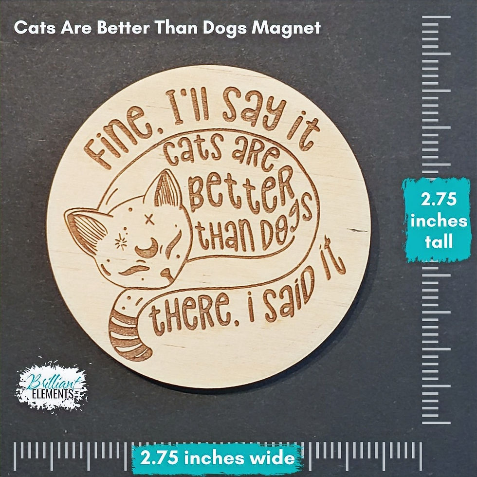 Thumbnail: Cats Are Better Than Dogs Magnet