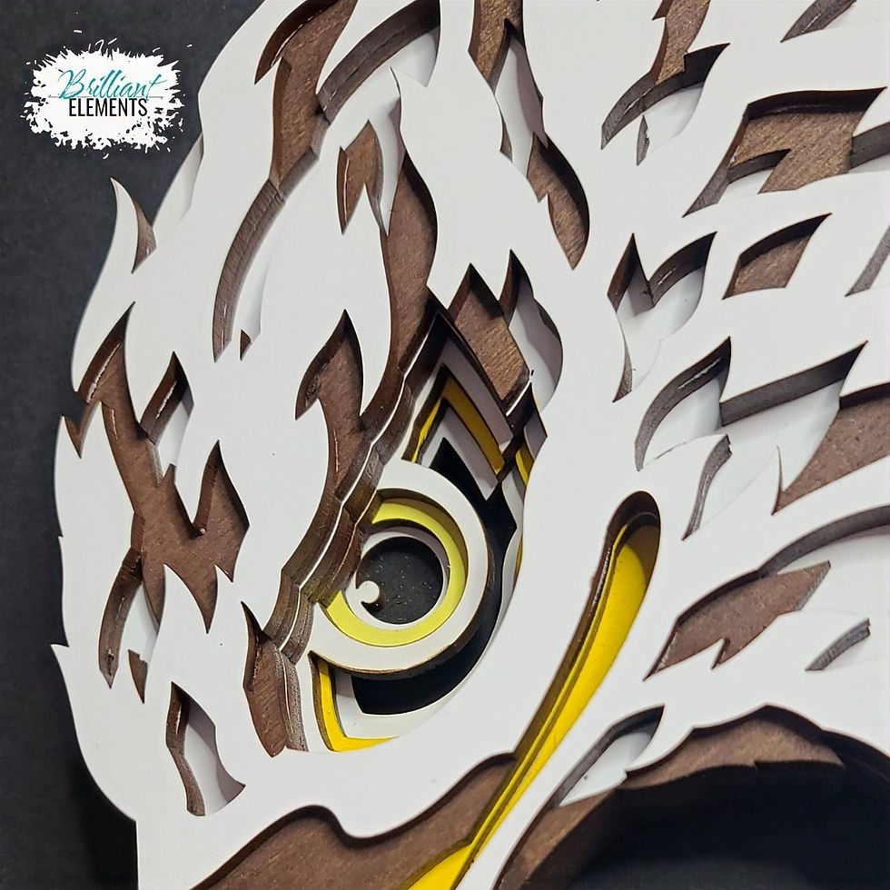 Thumbnail: Eagle Portrait