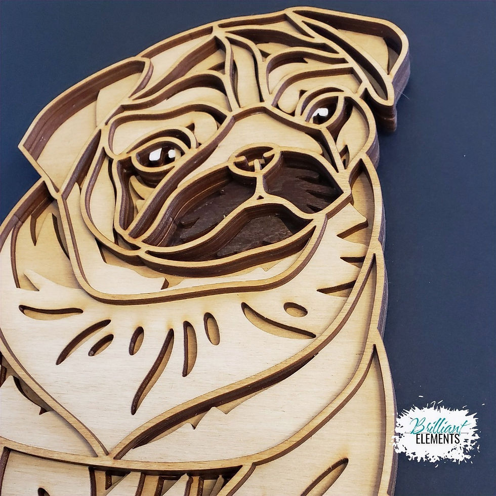 Thumbnail: Patient Pug