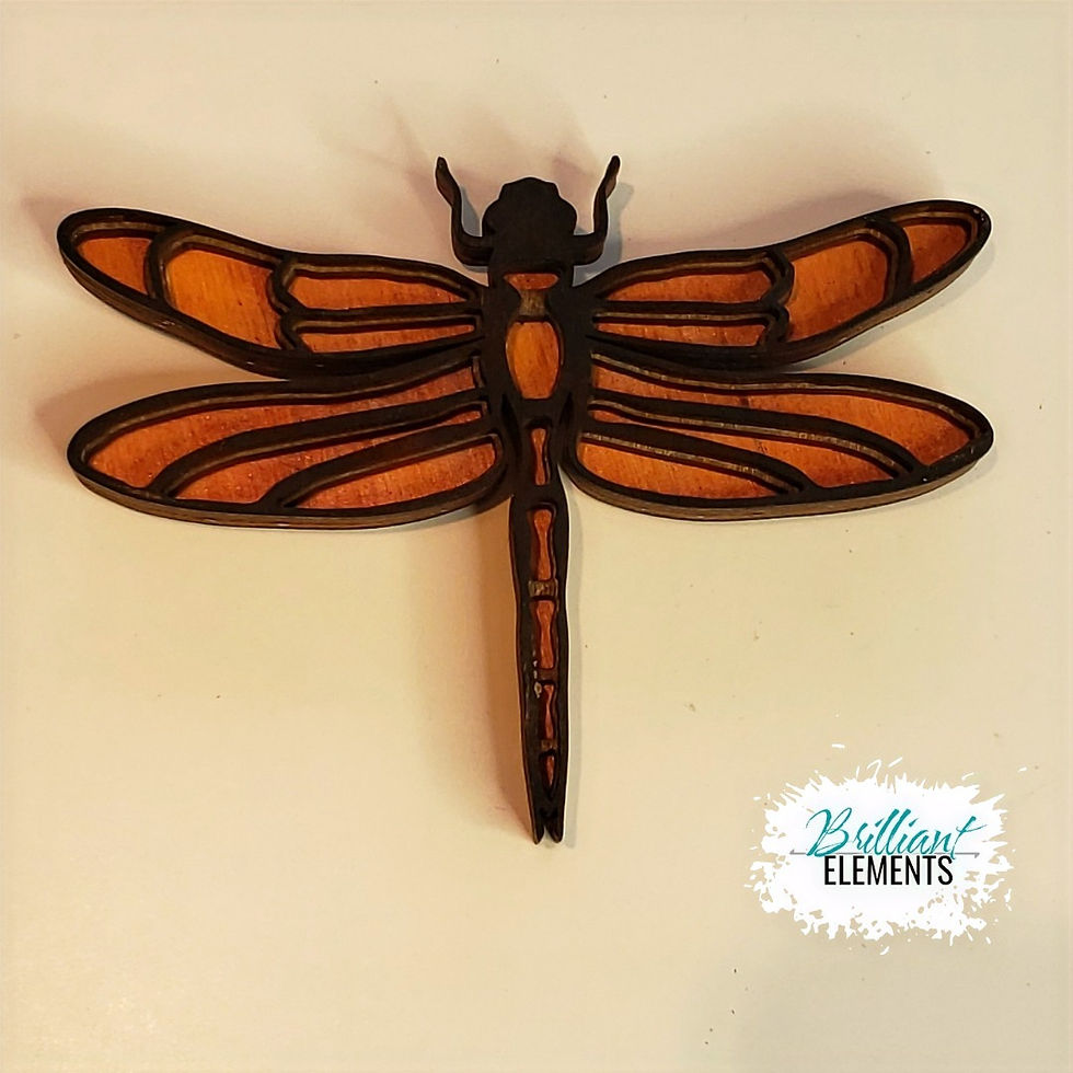 Thumbnail: Dragonfly Magnet
