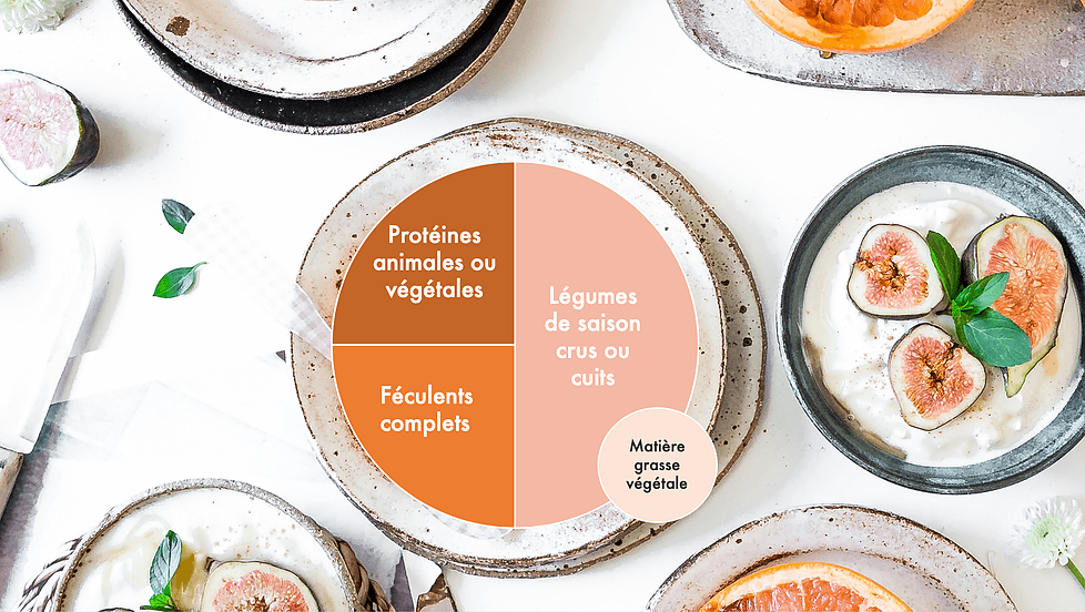 assiette équilibrée type.png