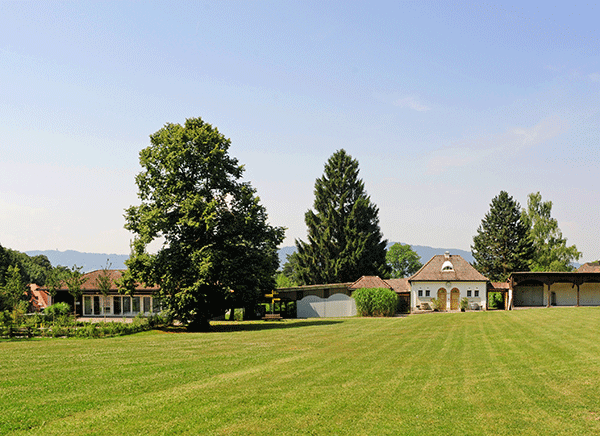 Stadtoase_Wiese_1.gif
