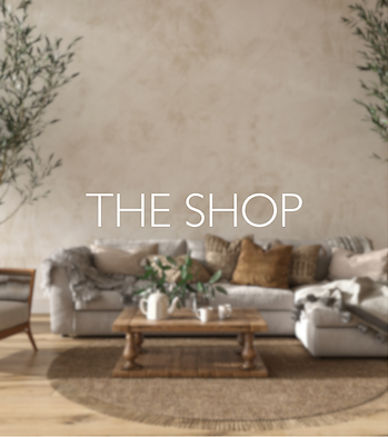 The Shop