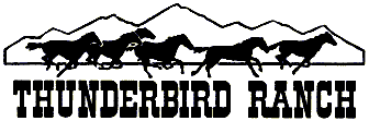 THUNDERBIRD RANCH SUMMER CAMP