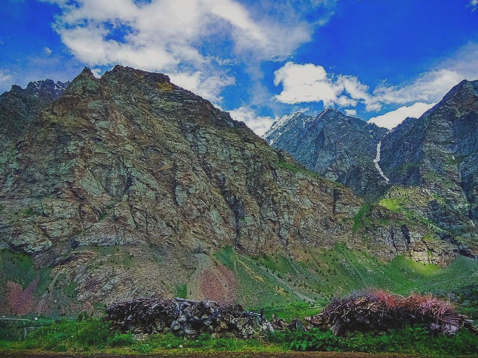view