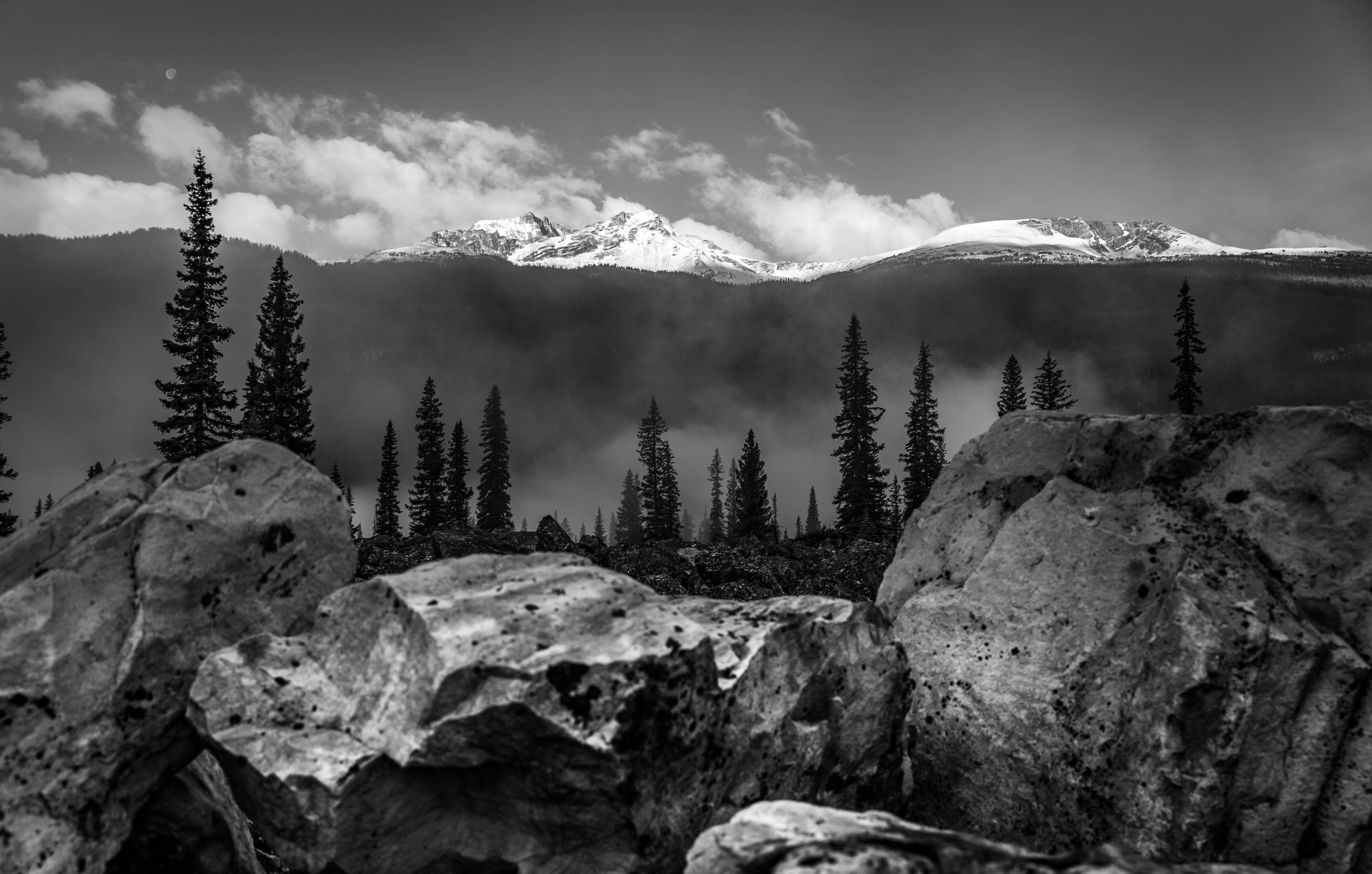 IMG_2304