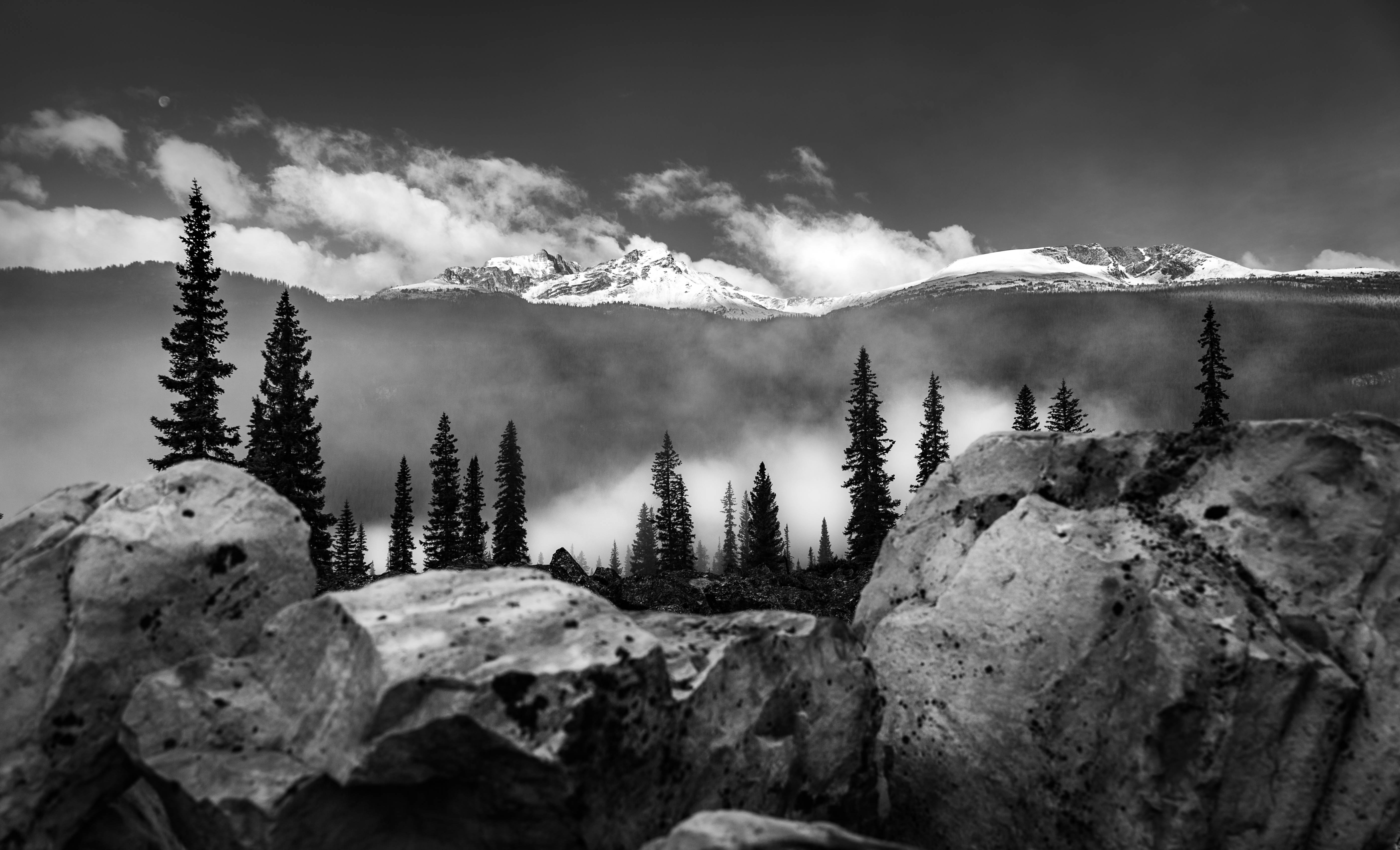 IMG_2303