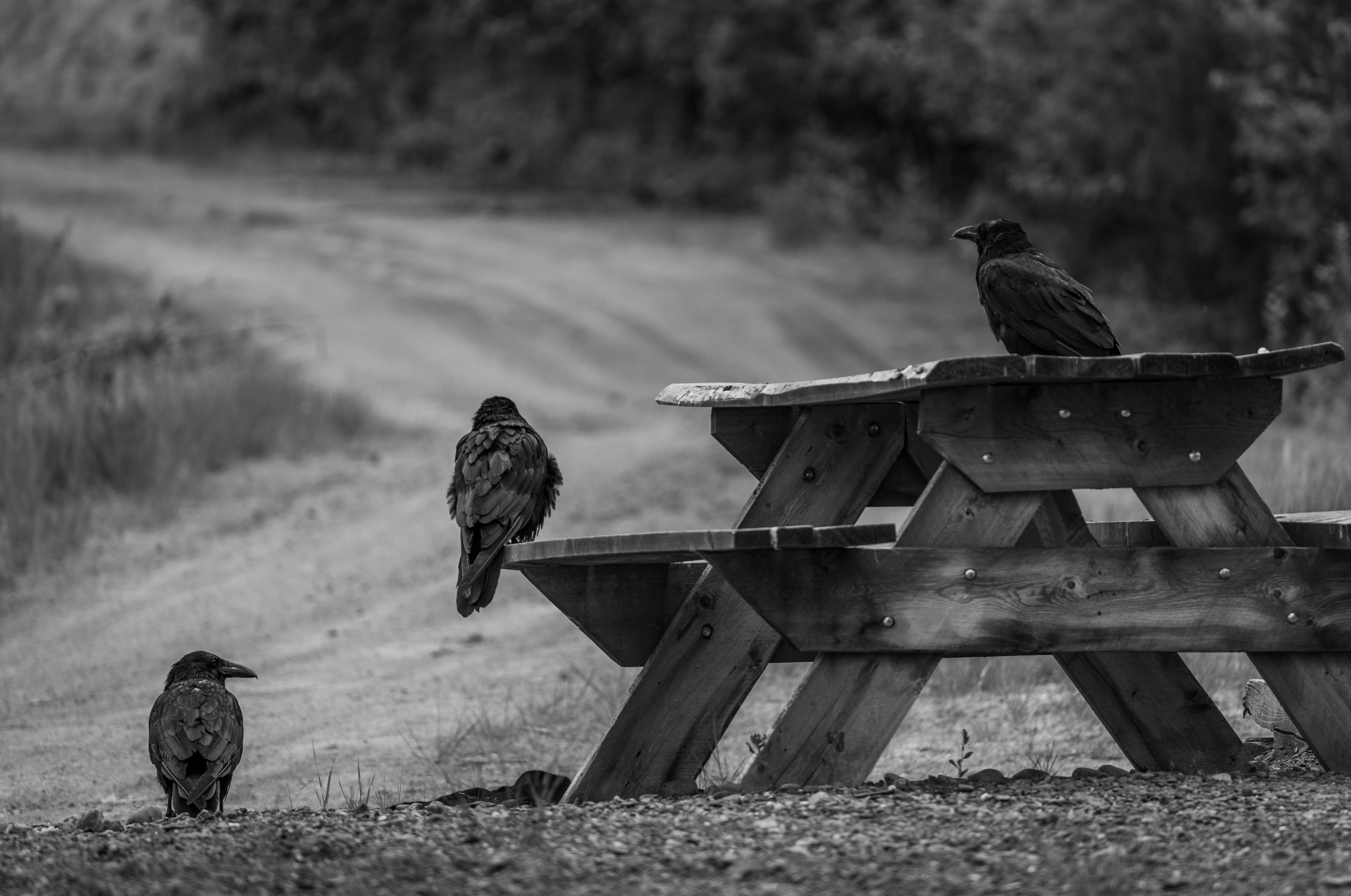 IMG_1610