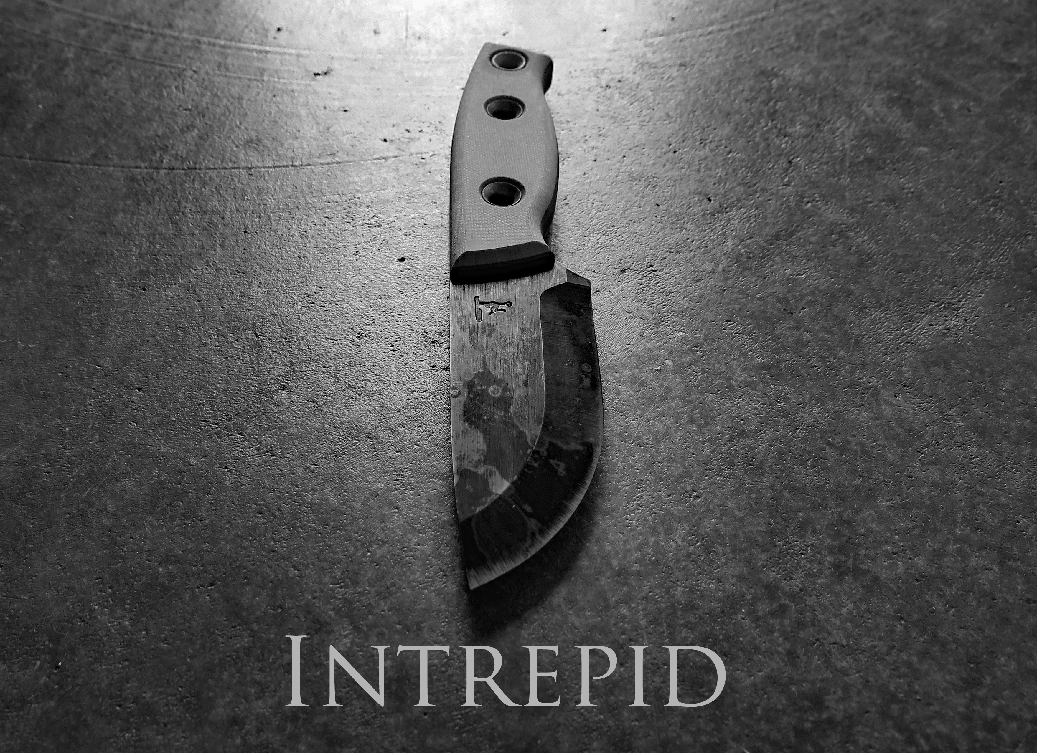 Intrepid