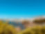 ilona-bellotto-o_Ws2vbMlKM-unsplash.jpg
