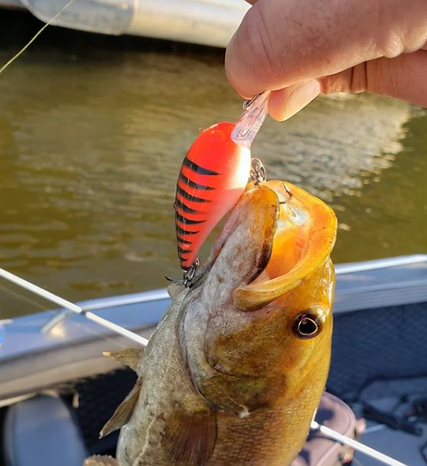 74custombaits 3d printed stencils 74 custom baits