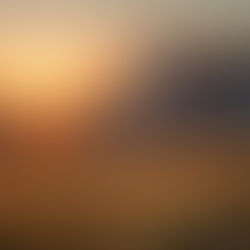 Understanding Step-Up in Basis for Inherited Real Estate in North Carolina