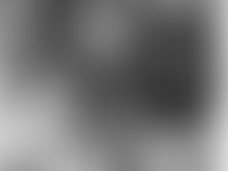 Discovering Hidden Histories: The Role of Impact Assessments in Preserving Cultural Landscapes