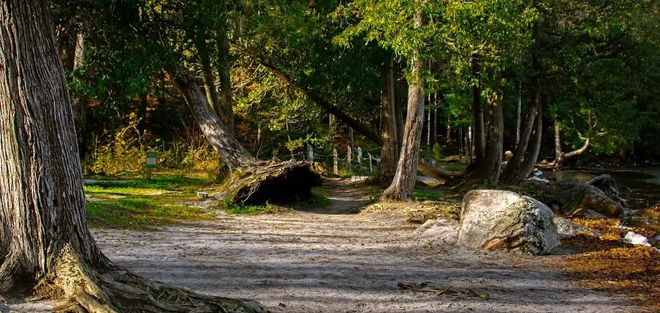 old road in wooded area
