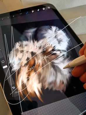 Animal Portraits