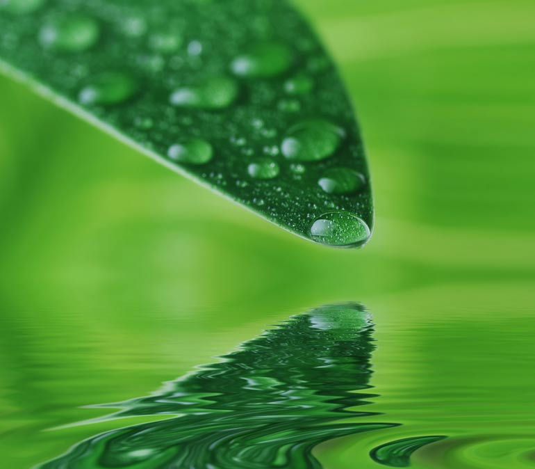 Miniatura: EAU VITALE TE VERDE SHOWER GEL