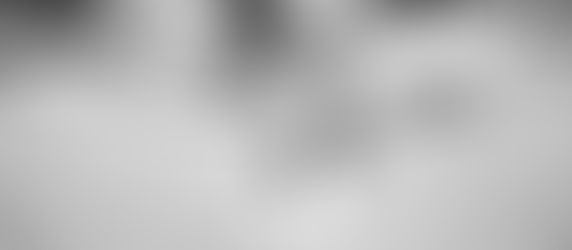 Bill of Responsibilities for Multiracial People of Color With Light Skin & White Passing Privilege