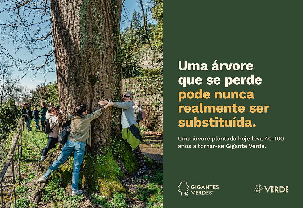 Embaixadores e moradores a abraçar o tronco de uma Gigante Verde